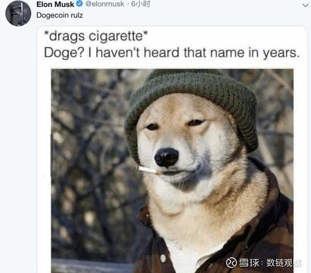 来,现在你是ceo了……"去年愚人节,狗狗币官方twitter发起了一项投票