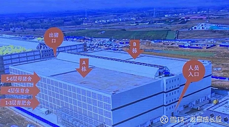 大手笔耗资50亿年出栏210万头牧原建全球单体养殖规模最大猪场