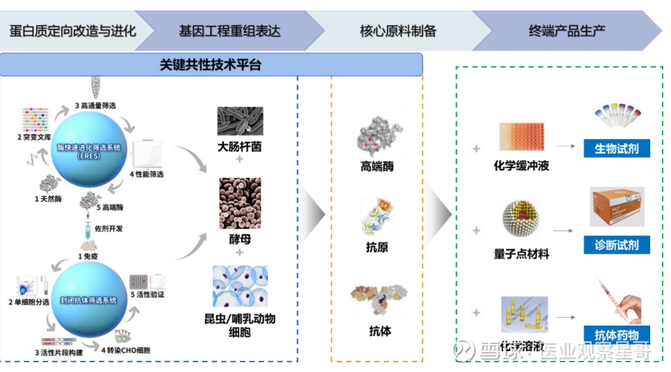 量子生物研发