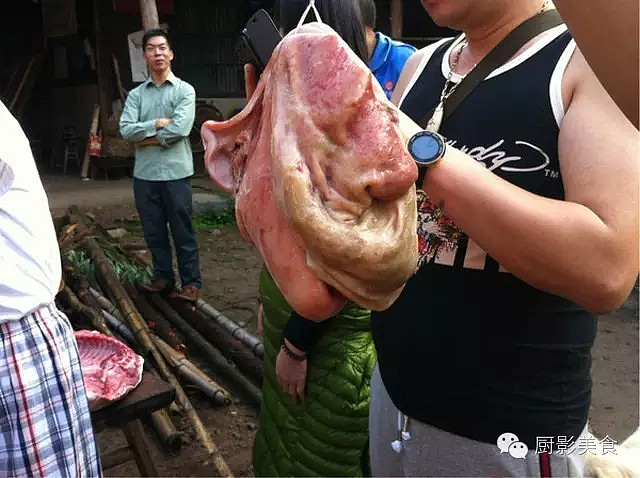 野猪肚钉钉图片图片