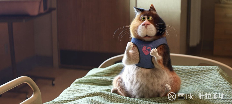 寻找你心中的spark 元旦假期去看了一部电影《心灵奇旅》,这是一部