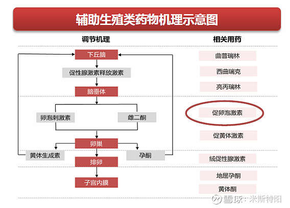 卵子的利润化