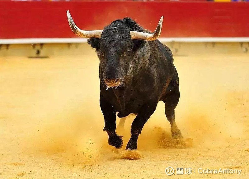 2021开闸,疯牛狂奔!涨到怀疑人生,组合大涨3.8%,再创单日历史纪录!