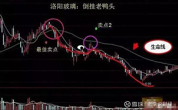 四,倒挂老鸭头形态