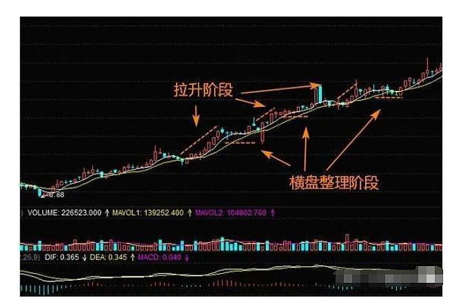 莊家最常用的拉昇手法臺階式突飛猛進式養多式拉昇