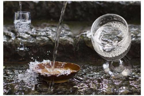 #白酒股又回来了吗#