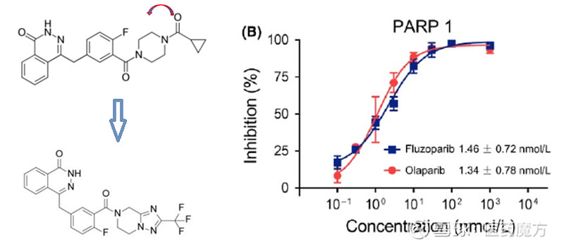 parp抑制剂:氟唑帕利,帕米帕利,azd5305对比