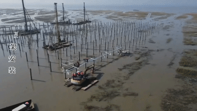 探访中国最大的海岸滩涂光伏工程建设全过程