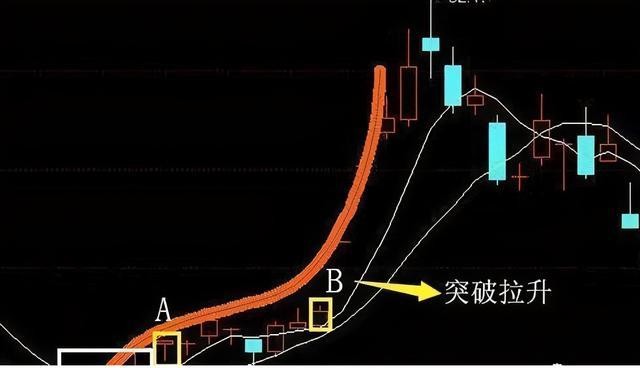 美人肩形态图片