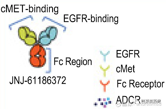 强生公布egfr C Met双抗最新数据，已凭i期临床提交上市申请 文章来源：“ 凯莱英 药闻”微信公众号美国东部时间12月28日， 强生