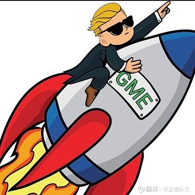 $游戏驿站(gme)$ 起飞 - 雪球