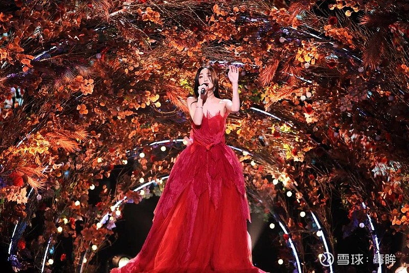 灿星ipo被否,三年"追光"路走到尽头 文 | 龙承菲 夏晓茜 编辑 | 何润