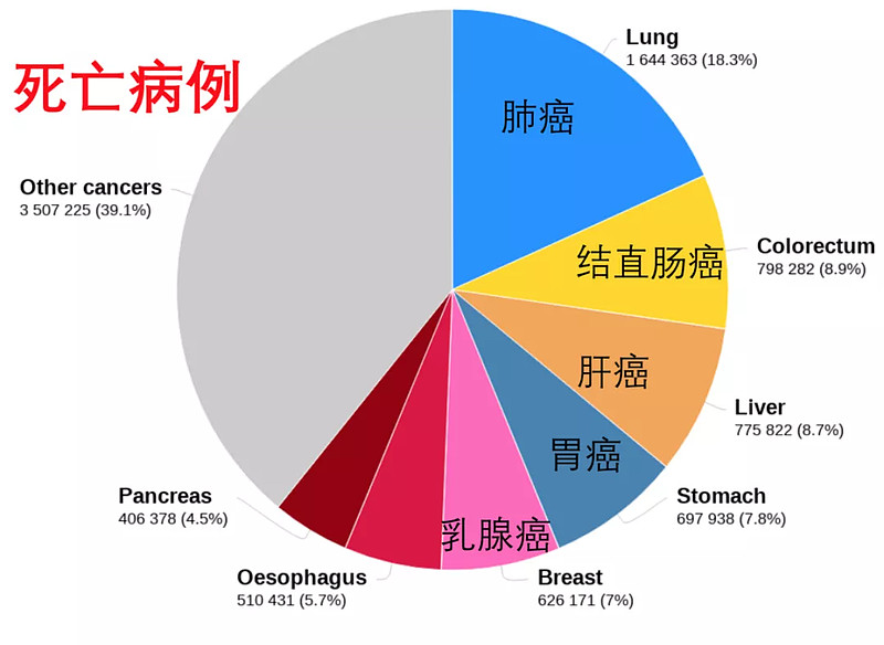 肿瘤指标中神经元异性烯醇化酶_肿瘤异性酶神经化高元素是什么_神经元特异性烯醇化酶高多少是肿瘤