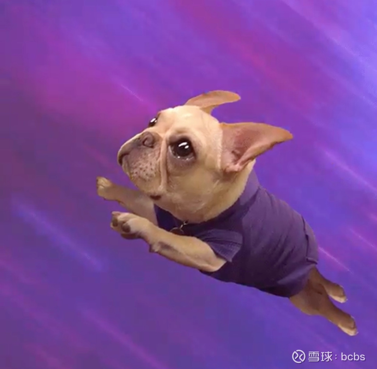 $naked brand group(nakd)$ $sundial growers(sndl)$ ok,让我们从nak