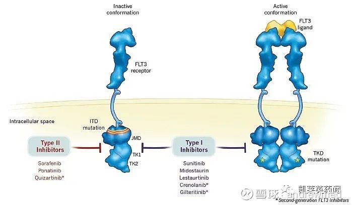 安斯泰來首個flt3抑制劑富馬酸吉瑞替尼片獲nmpa附條件批准