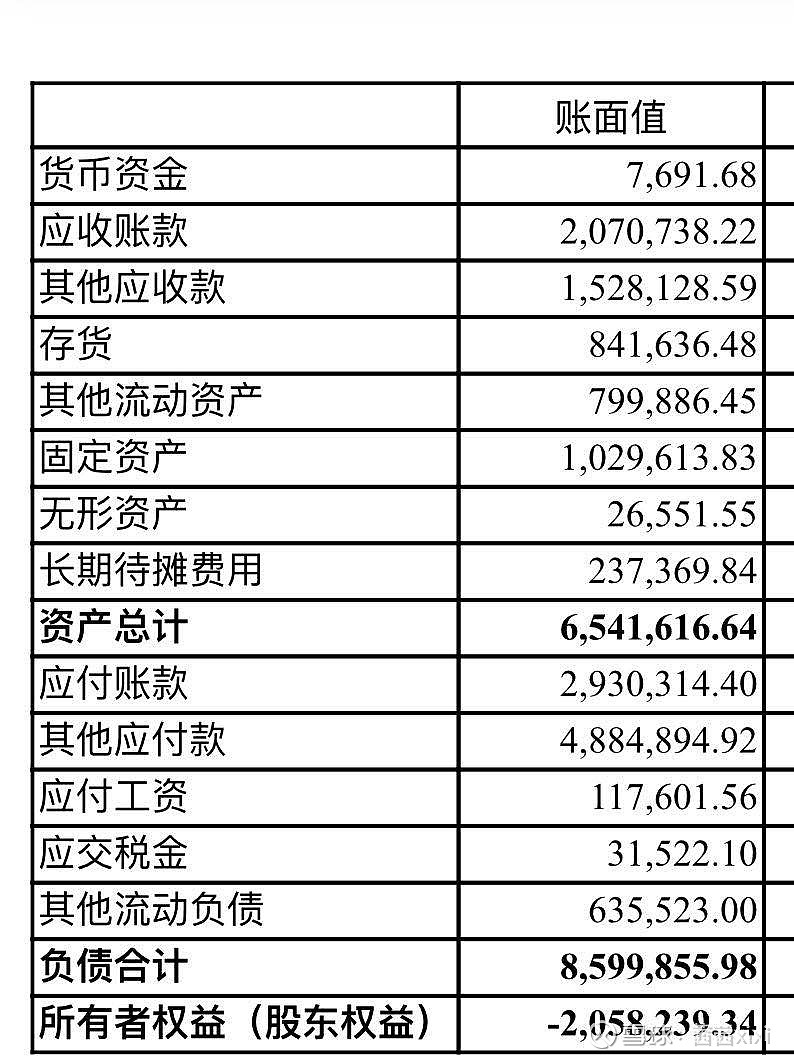 帮忙看下这个酒店的资产负债表