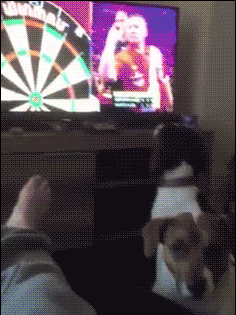 No 13 普利转债 2月9日 积极申购no 13 普利转债 Sz 2月9日发行申购 O 普利制药 Sz 1 公司概况 化学