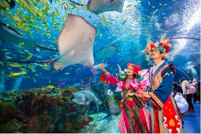 春节本地游“出圈”:本地预订门票订单量增长超300%-科记汇