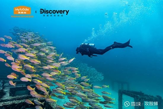 還與discovery合作,推出溯源泰國安達曼海金槍魚的專題紀錄片,未來,還