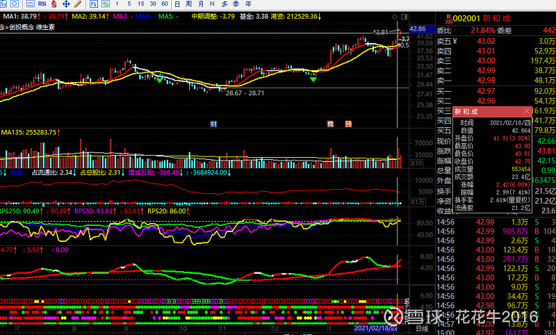 新和成,欧奈尔杯柄处的口袋支点放量突破并创新高,难怪那天我说到