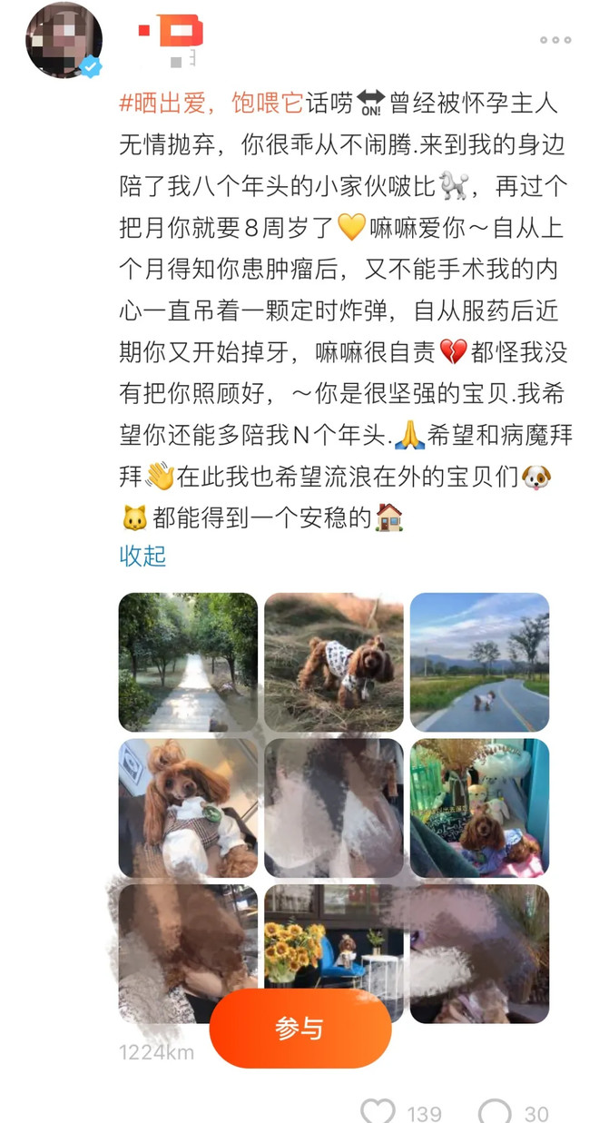 7万人在探探，为流浪动物做了这件暖心的事！-科记汇