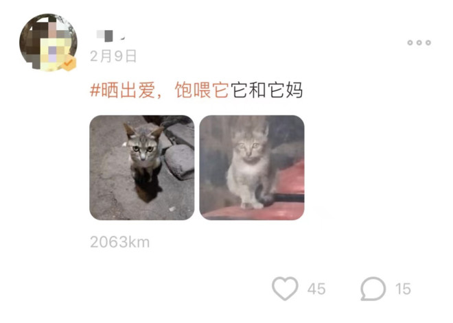 7万人在探探，为流浪动物做了这件暖心的事！-科记汇