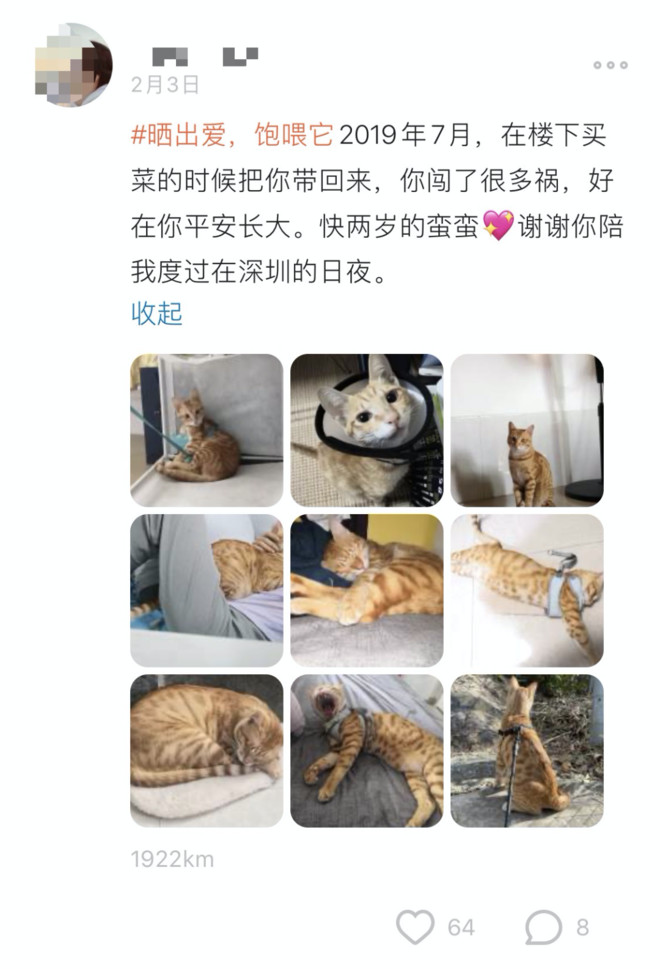 7万人在探探，为流浪动物做了这件暖心的事！-科记汇