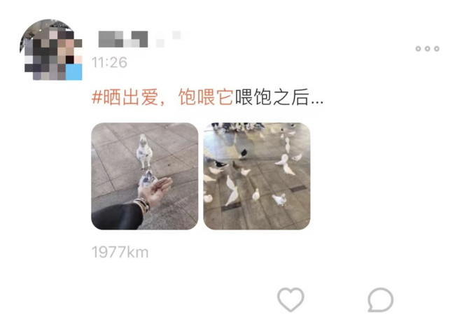 7万人在探探，为流浪动物做了这件暖心的事！-科记汇