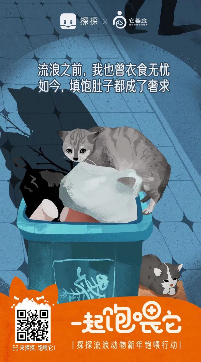 7万人在探探，为流浪动物做了这件暖心的事！-科记汇