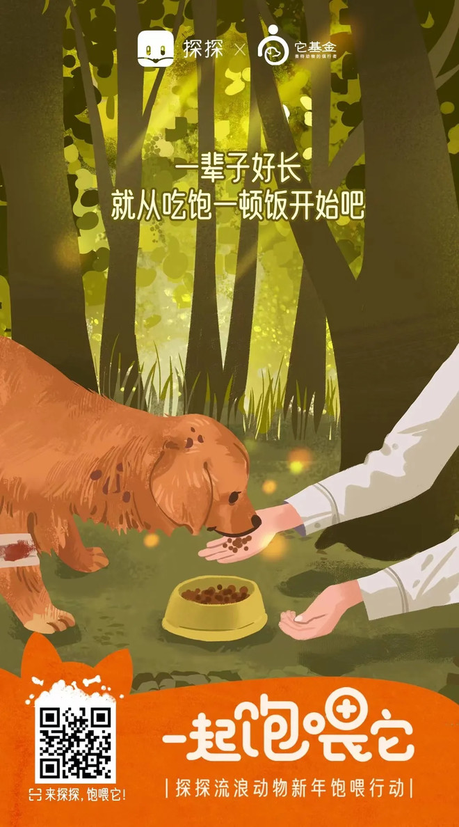 7万人在探探，为流浪动物做了这件暖心的事！-科记汇