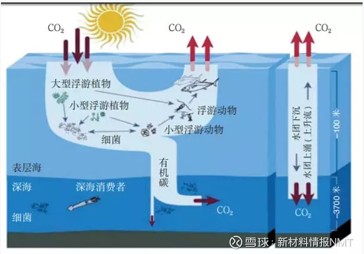 中国科学院南海海洋研究所导师教师师资介绍简介-冯洋