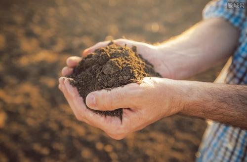 #稀土板块急拉掀起涨停潮#