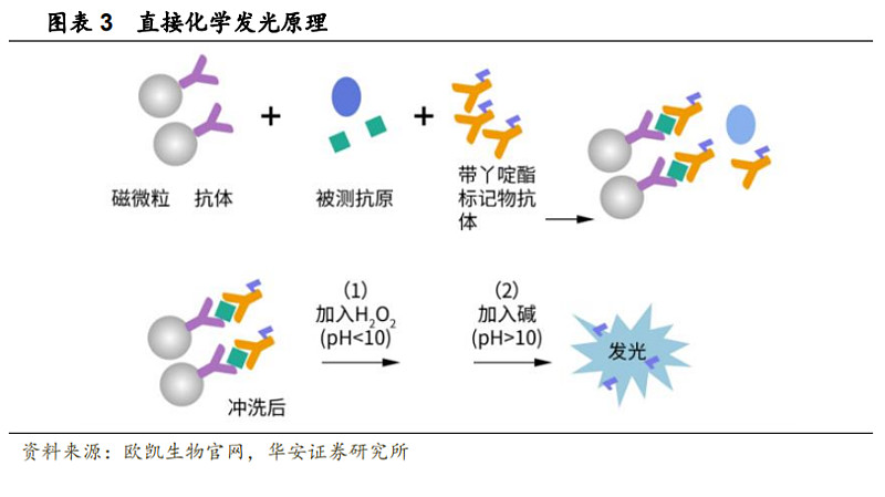 群雄逐鹿,poct 赛道未来可期 化学发光剂直接标记抗体或抗原的免疫
