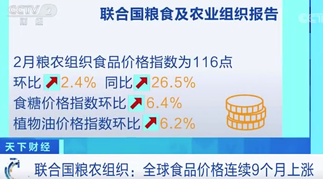 全球食品价格连续9个月上涨 联合国粮农组织公布一组数字联合国粮食及农业组织 Fao 4日发布报告显示 2月粮农组织 食品价格指数116点 环比上升2 4 全球食品价格连续第9