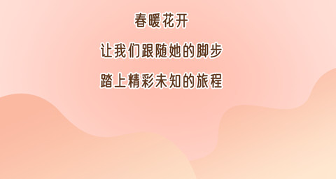 携程发布《女性旅行白皮书》:超过40%女性出行选择入住4星级以上酒店-科记汇