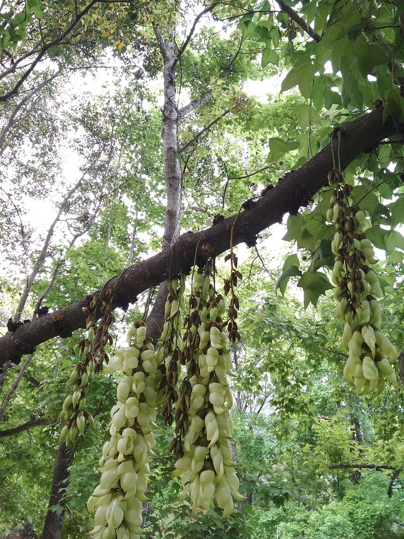 回血还是挺快的。<br/>春节