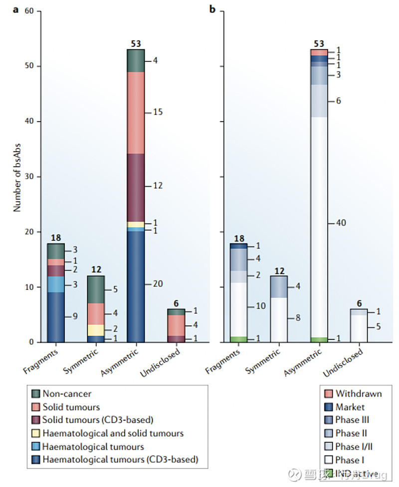 双特异性抗体那些事儿 导读图片来源：cytivalifesciences 双特异性抗体（Bispecific antibody，BsAb