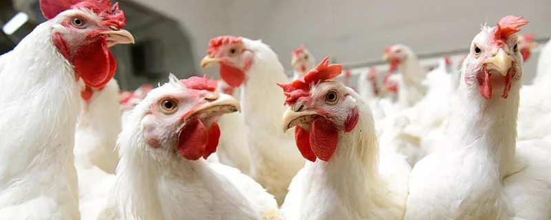 15%kkr持股6.14%傅长玉持股2.67%公司的核心为傅光明,傅. - 雪球