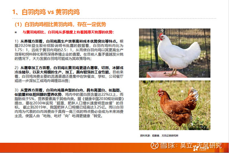 禽链专题深度三维解剖白鸡企业消费转型的竞争力天风农业