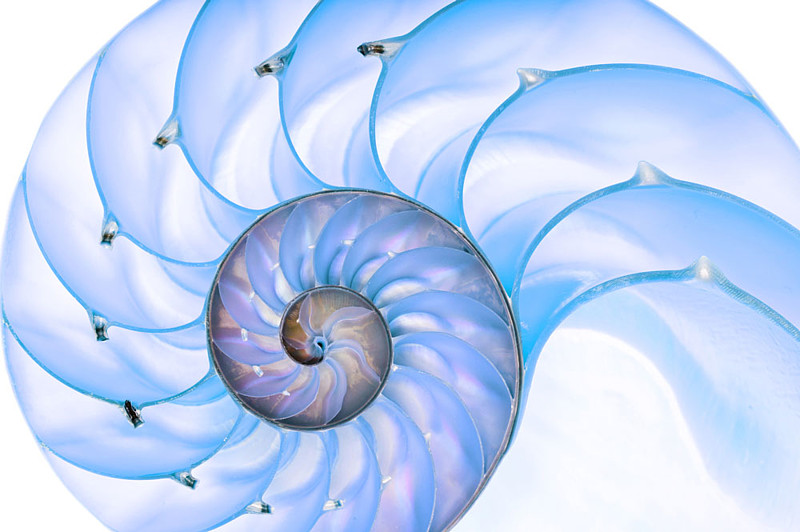 大道至简分形嬗变之美与人类思维创新之谜