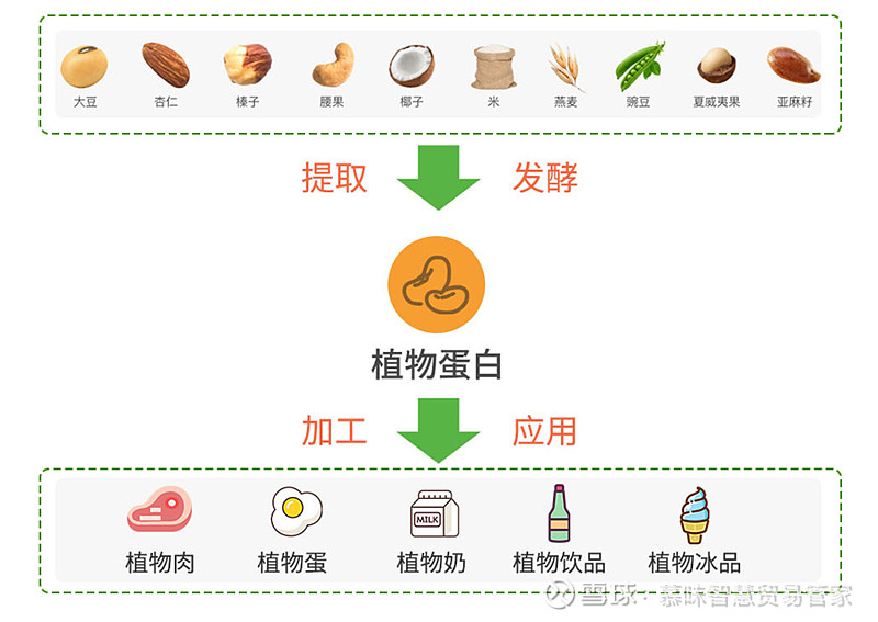 满满干货超越完全竞争植物基起飞