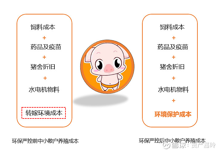 1784dcda338fb563fc8e6764.png!800.jpg