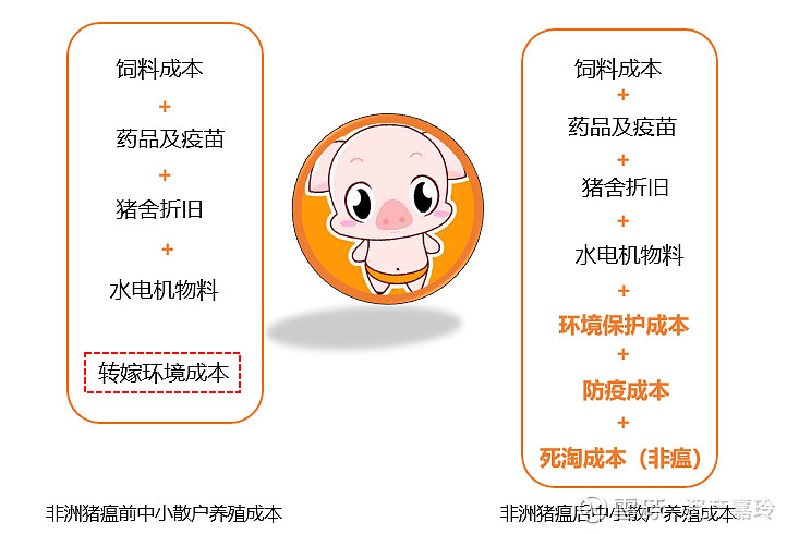 1784dcec301fb5b3fc596939.png!800.jpg