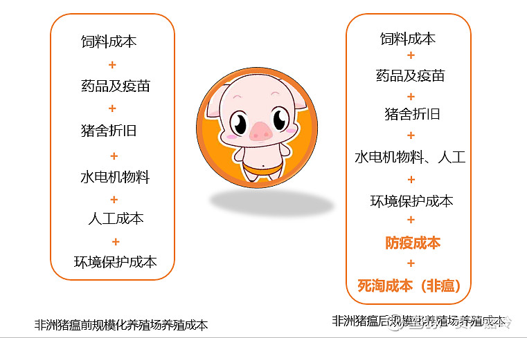 1784dcf3d18fb883fe225c6c.png!800.jpg