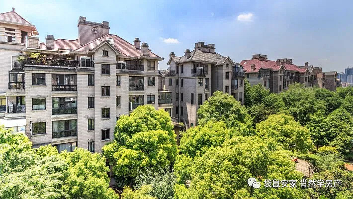 大上海国际花园洋房图片