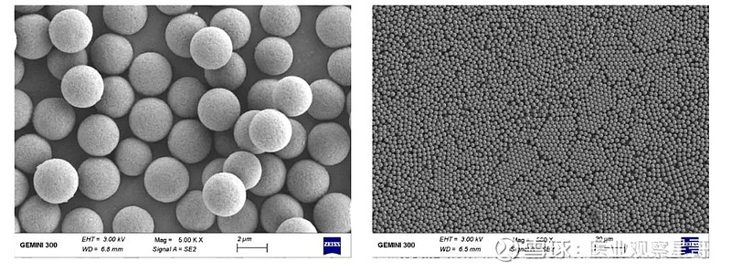 崛起的ivd原料新星博岳生物免疫磁球始于化学发光不止于化学发光