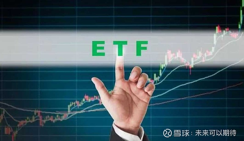 而更細緻的劃分可分為股票etf,債券etf,黃金etf,貨幣etf,以及跨境etf