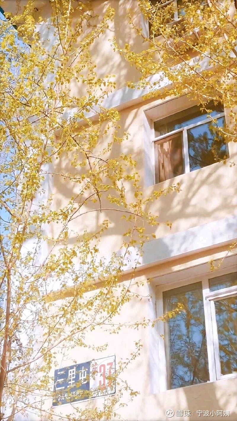 $*st众泰(sz000980)$ 停牌之前还迷糊得买进了三万块钱的,感觉会一直