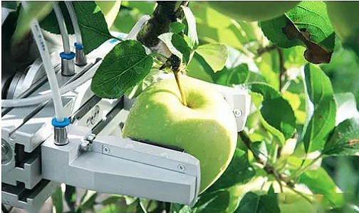 超常规博弈品种概念独特中金辐照低碳民用核技术钴源辐照全国连锁市场