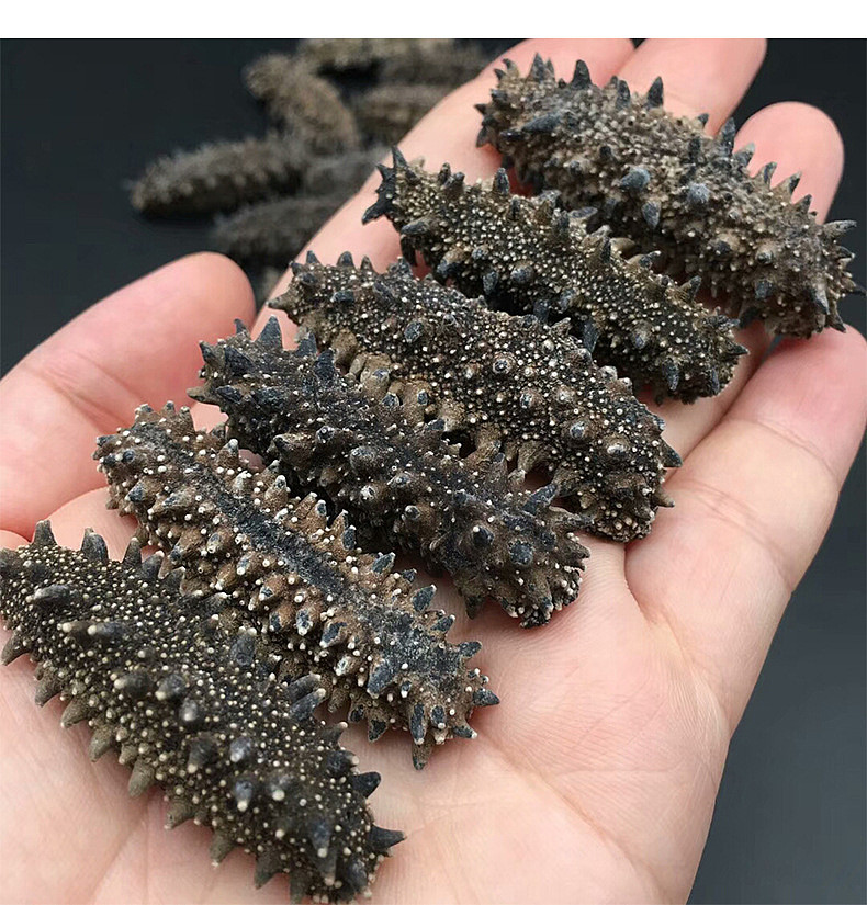 外观品相好看肉质特别厚发涨率比较高口感特别好营养特别丰富关东参是